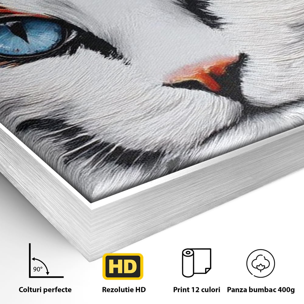 Detaliu al suprafetei: tablou canvas cu ochi de pisica, in rama de aluminiu argintiu